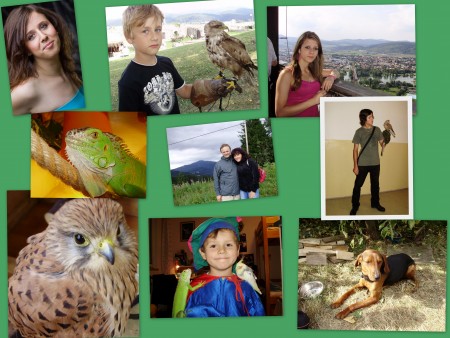 my family